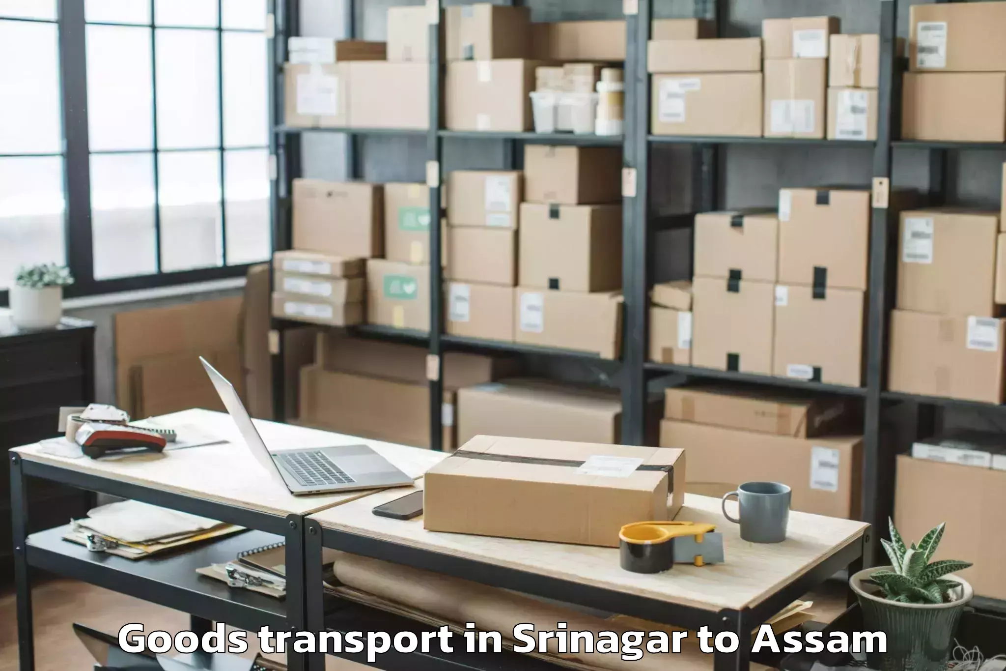 Easy Srinagar to Dum Duma Goods Transport Booking